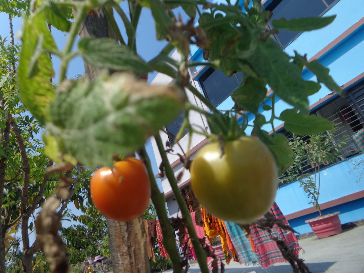 Gallery Photo